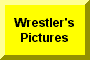 Click Here To Go To Wrestler's Pictures and Stats