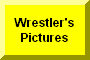 Click Here To Go To Wrestler's Pictures and Stats