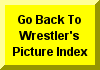 Click Here To Go To Previous Page